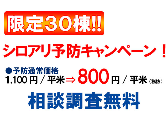 限定30棟 シロアリ予防キャンペーン